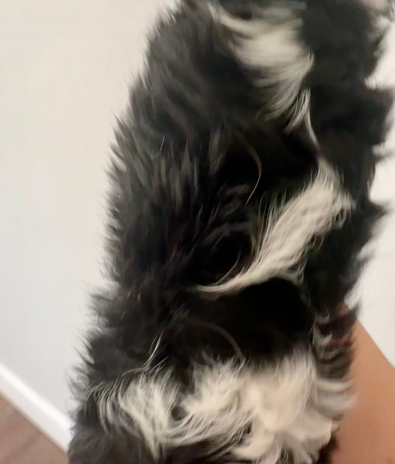 Minnie