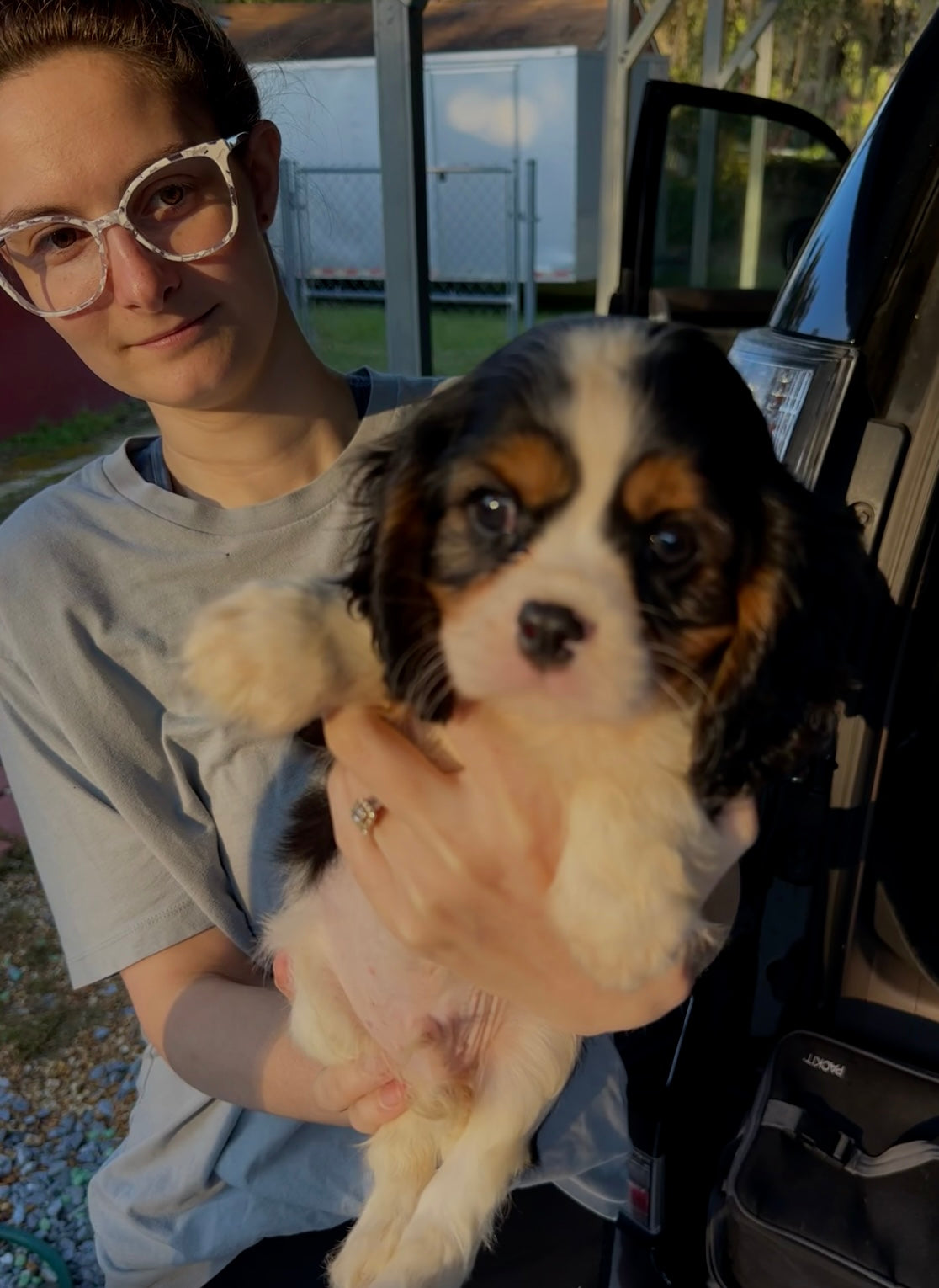 Dog