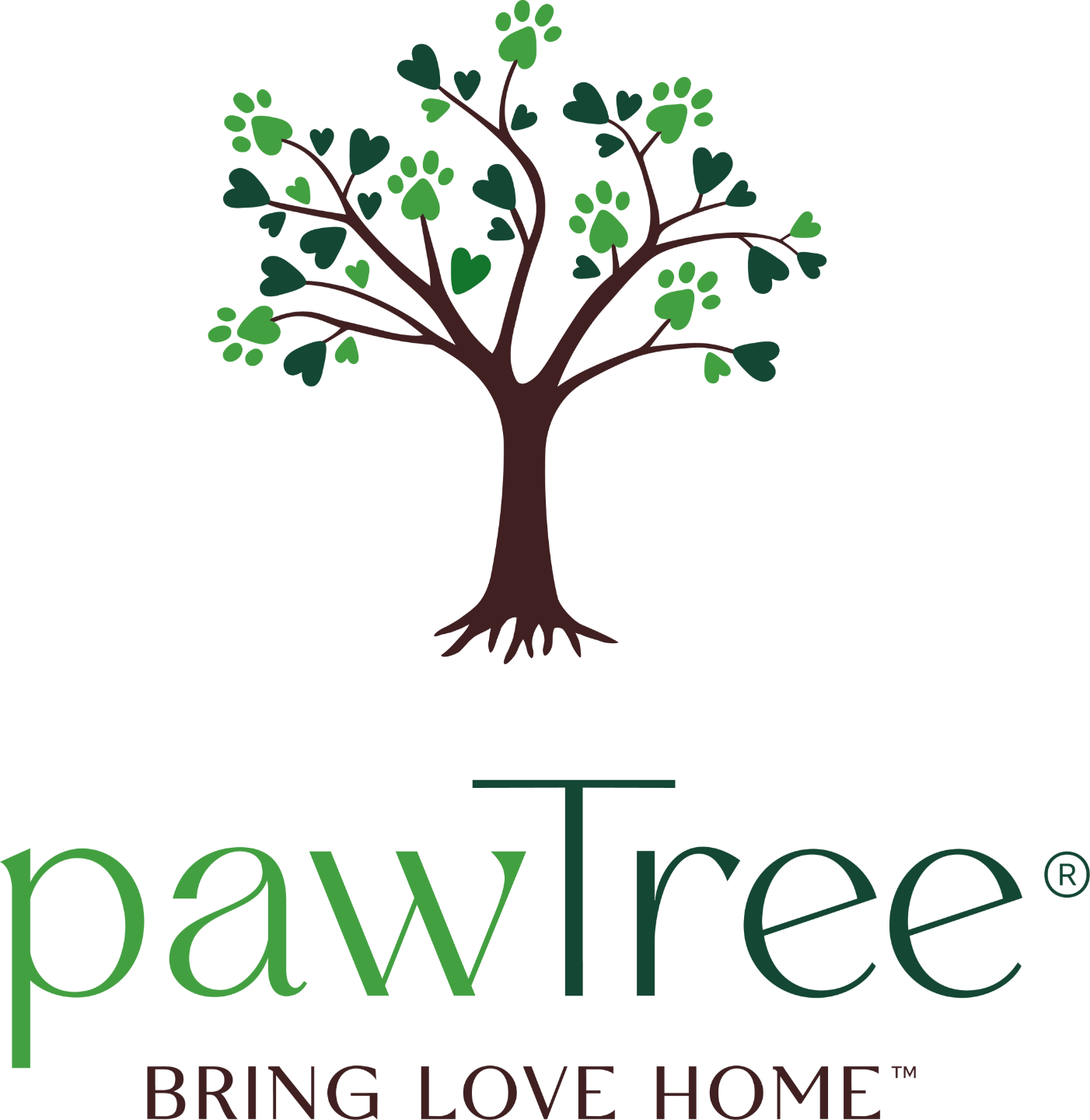 Graphic Logo